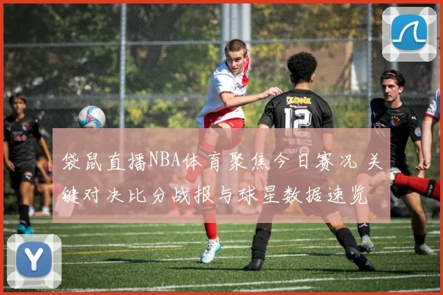 袋鼠直播NBA体育聚焦今日赛况 关键对决比分战报与球星数据速览