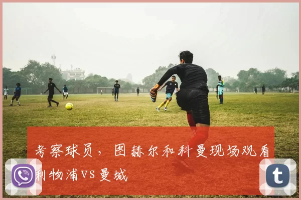 考察球员，图赫尔和科曼现场观看利物浦vs曼城