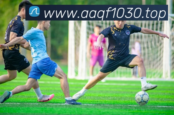 开云(Kaiyun) - 中国官方服务平台平台生态图