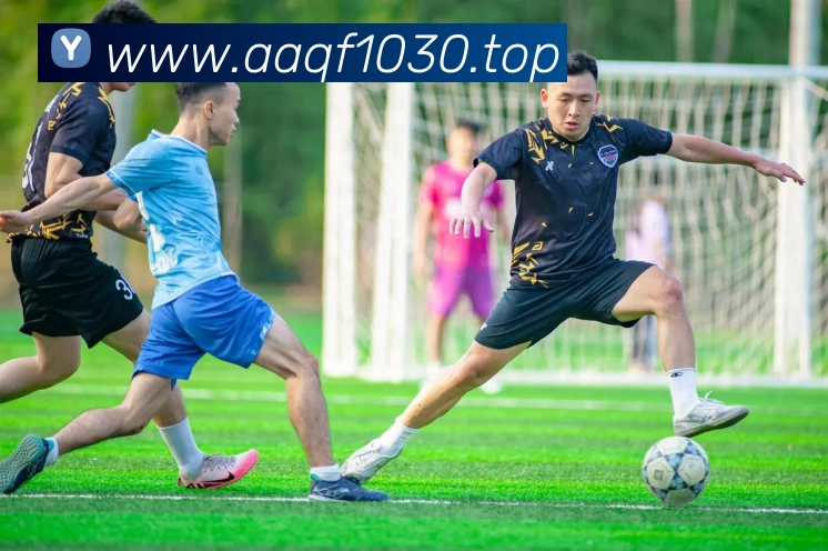 开云(Kaiyun) - 中国官方服务平台全站App